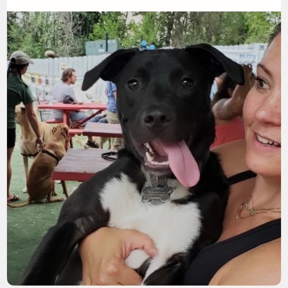 Meet your Posher, Catherine - Picture 3 of 5